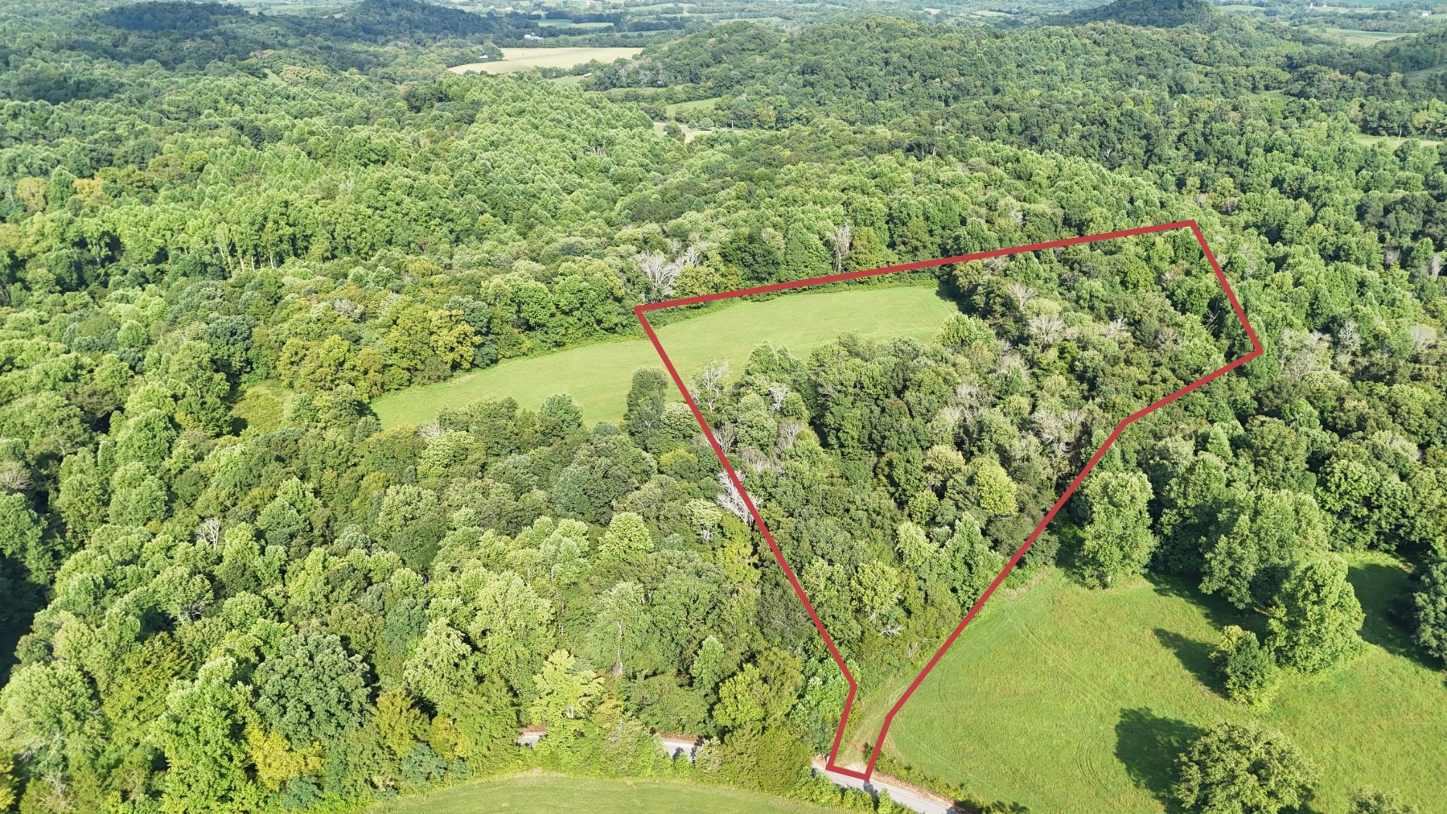 Listing image 6