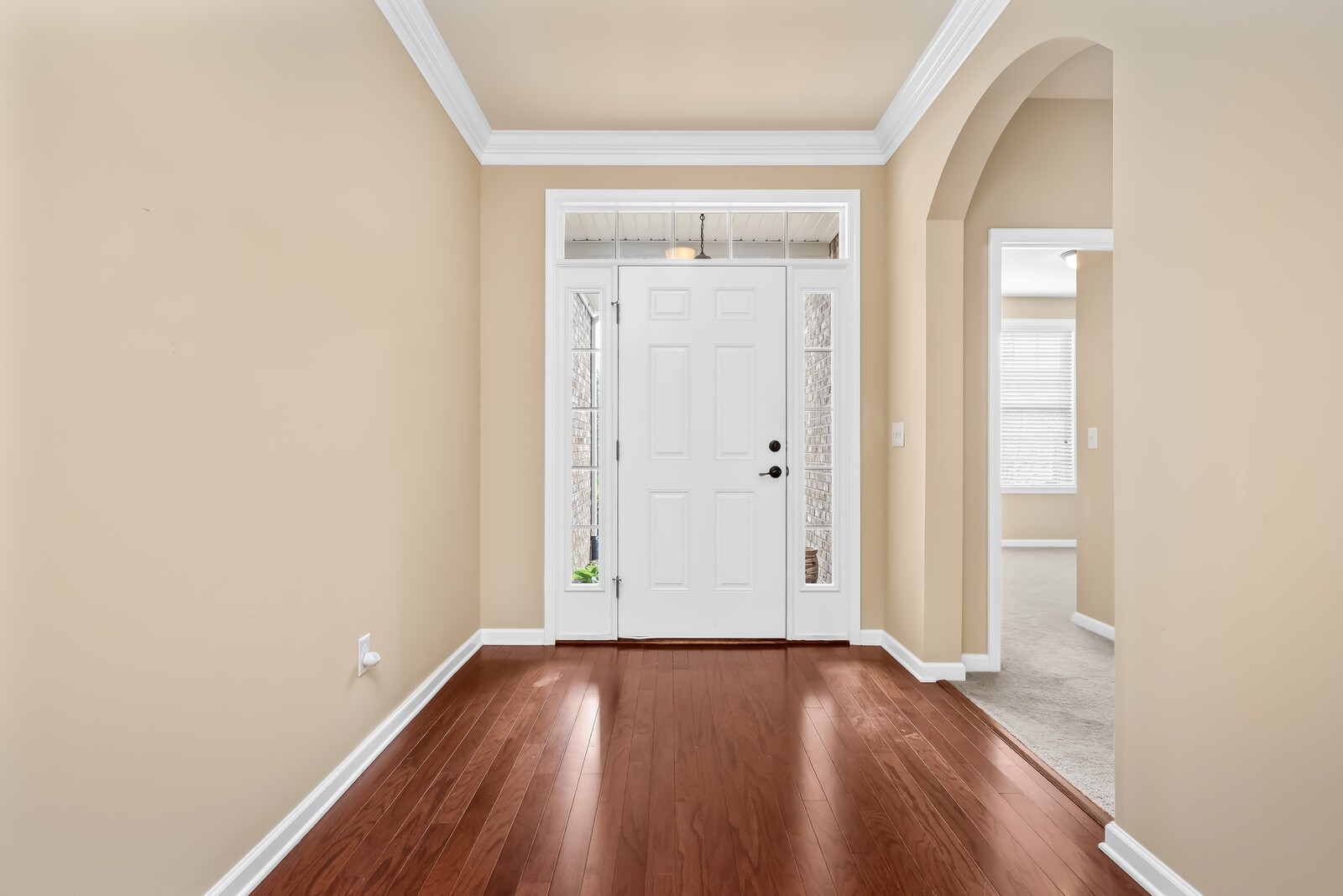 1841 Looking Glass Ln