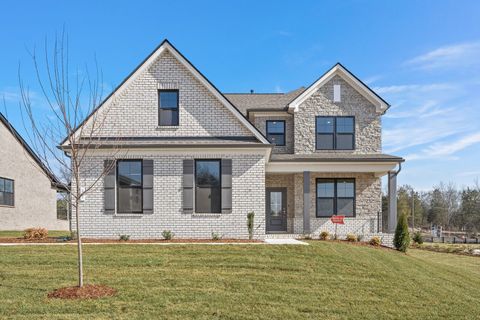 Photo of 293 Johnnys Place, Mount Juliet, TN 37122 (MLS # 3168301)