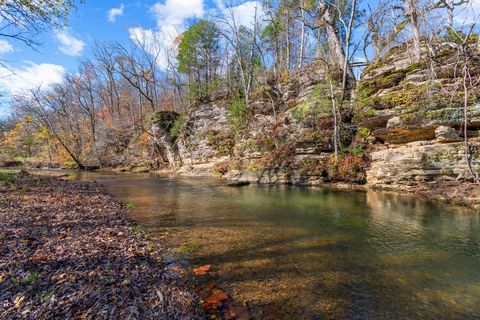 1125 Dawson Rd White Bluff TN 37187