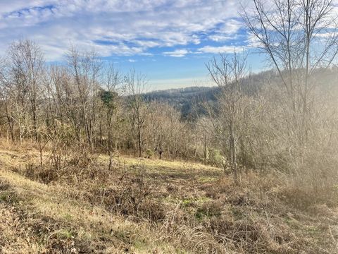 0 Old Lake Road Lewisburg TN 37091