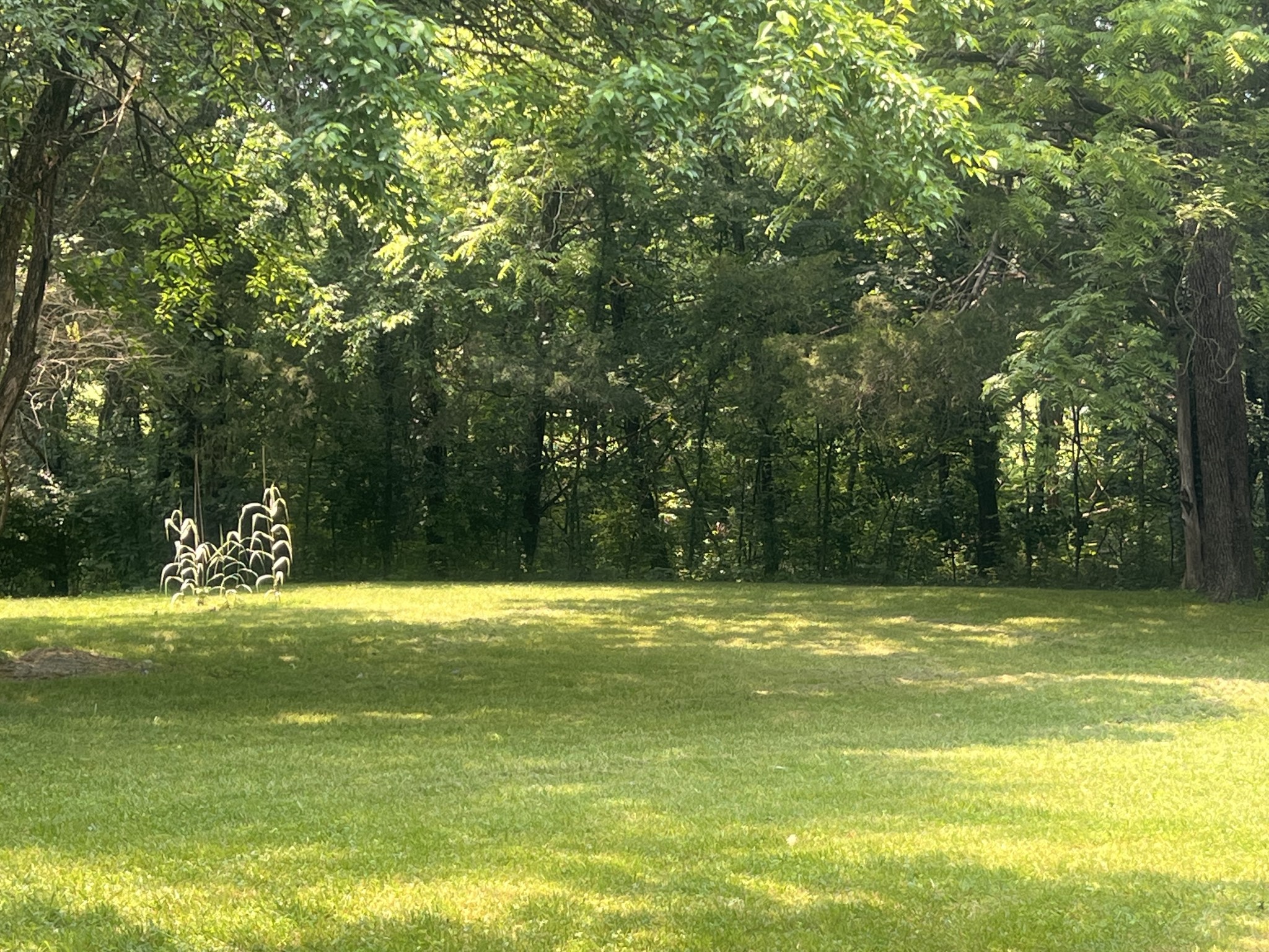 1184 Beasleys Bend Rd
