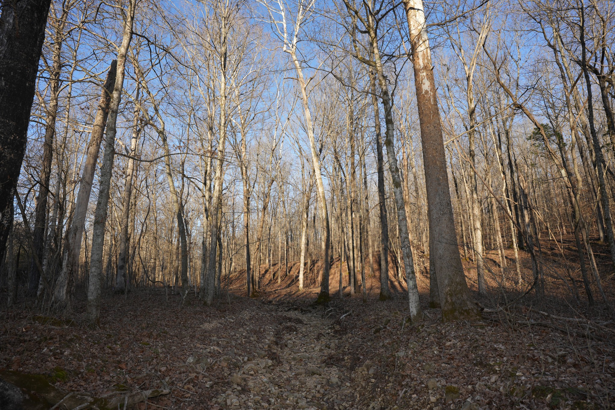 4 John Ross Hollow Rd