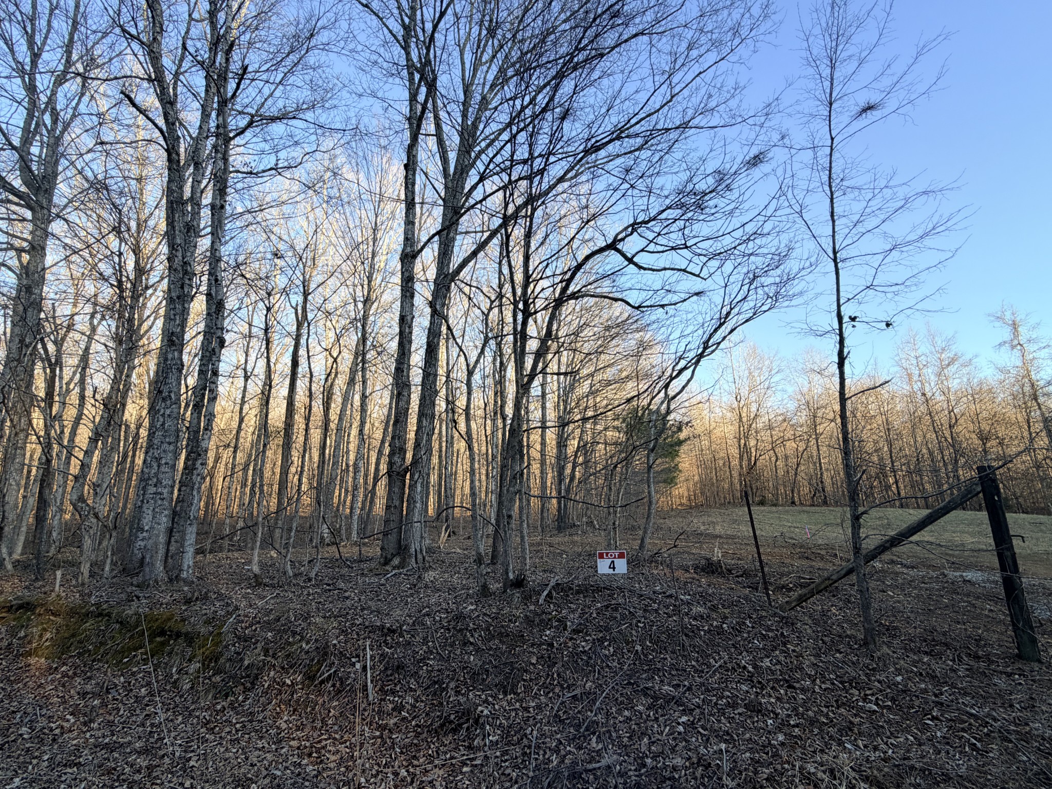 4 John Ross Hollow Rd