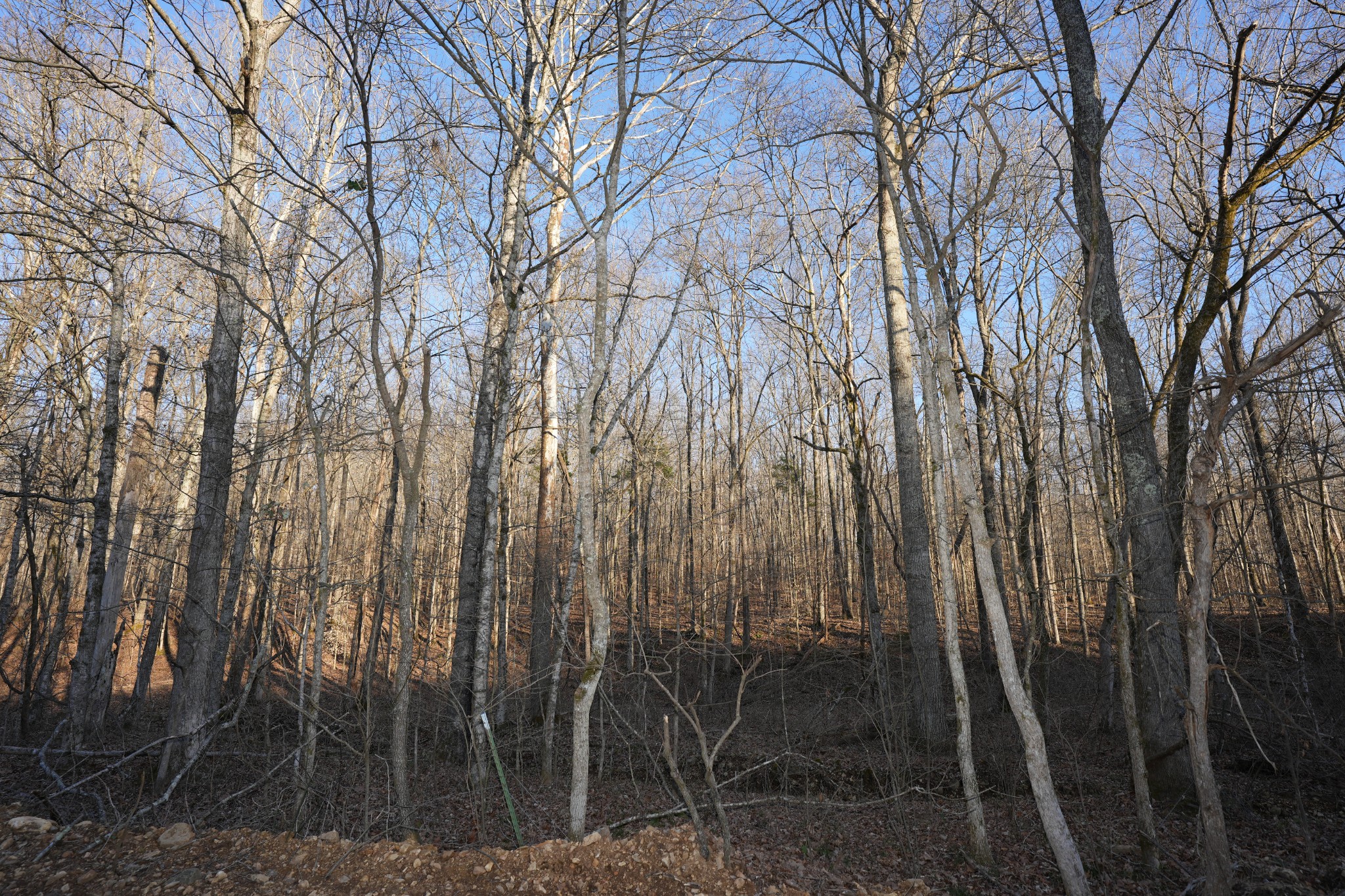 4 John Ross Hollow Rd