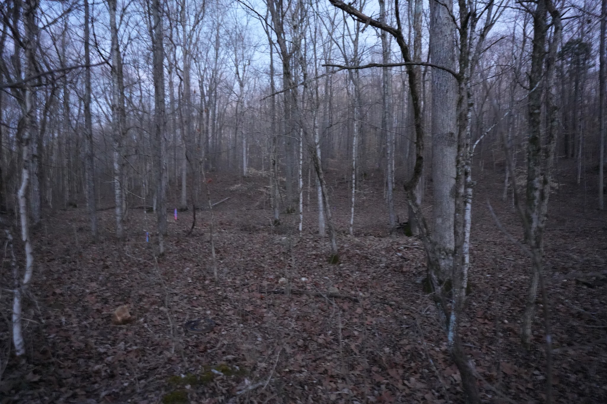 4 John Ross Hollow Rd