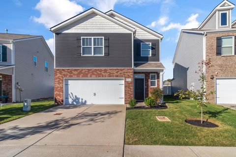 7511 Cash Crossing Ct Antioch TN 37013