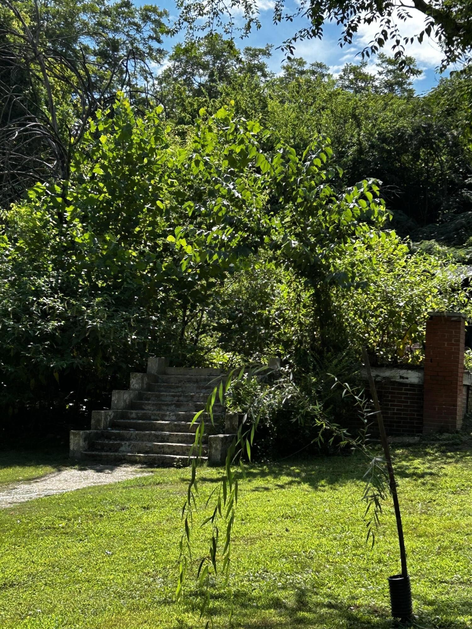 306 Louisiana Avenue