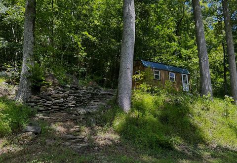 91 Carver Hollow Rd Pleasant Shade TN 37145