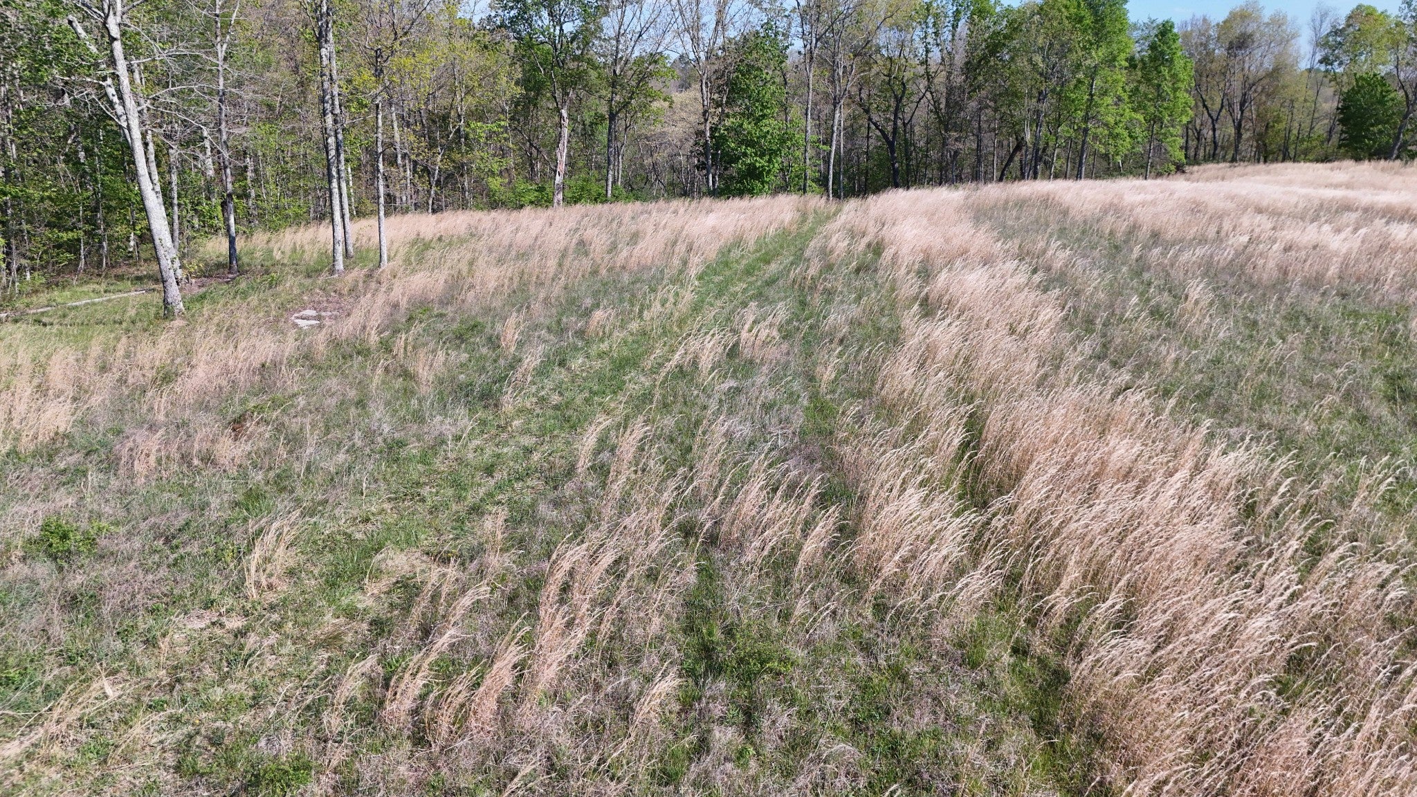 0 Hollow Creek Lane