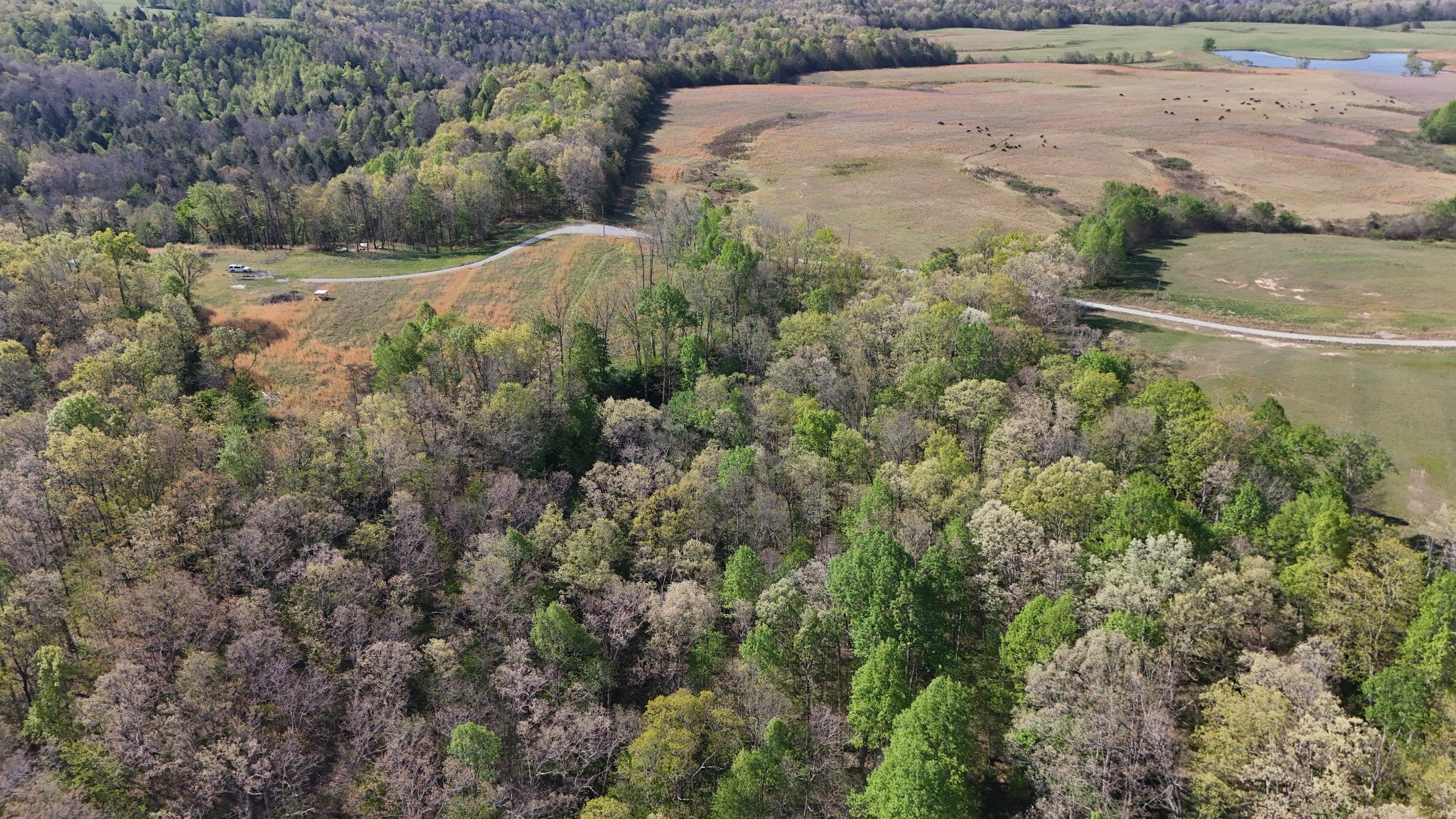 0 Hollow Creek Lane
