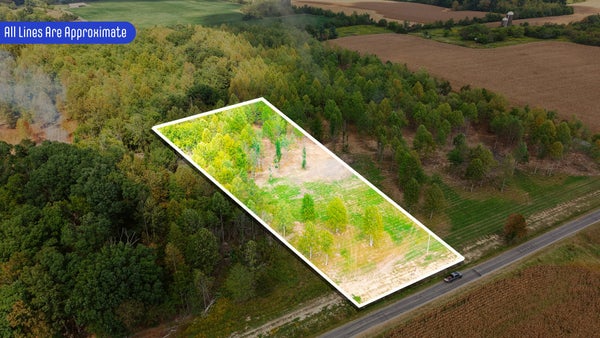 CARTER RD, WESTMORELAND, TN 37186 - Image 1e2a7724f91e0aab79ccccaa6bee7ff6/404137092