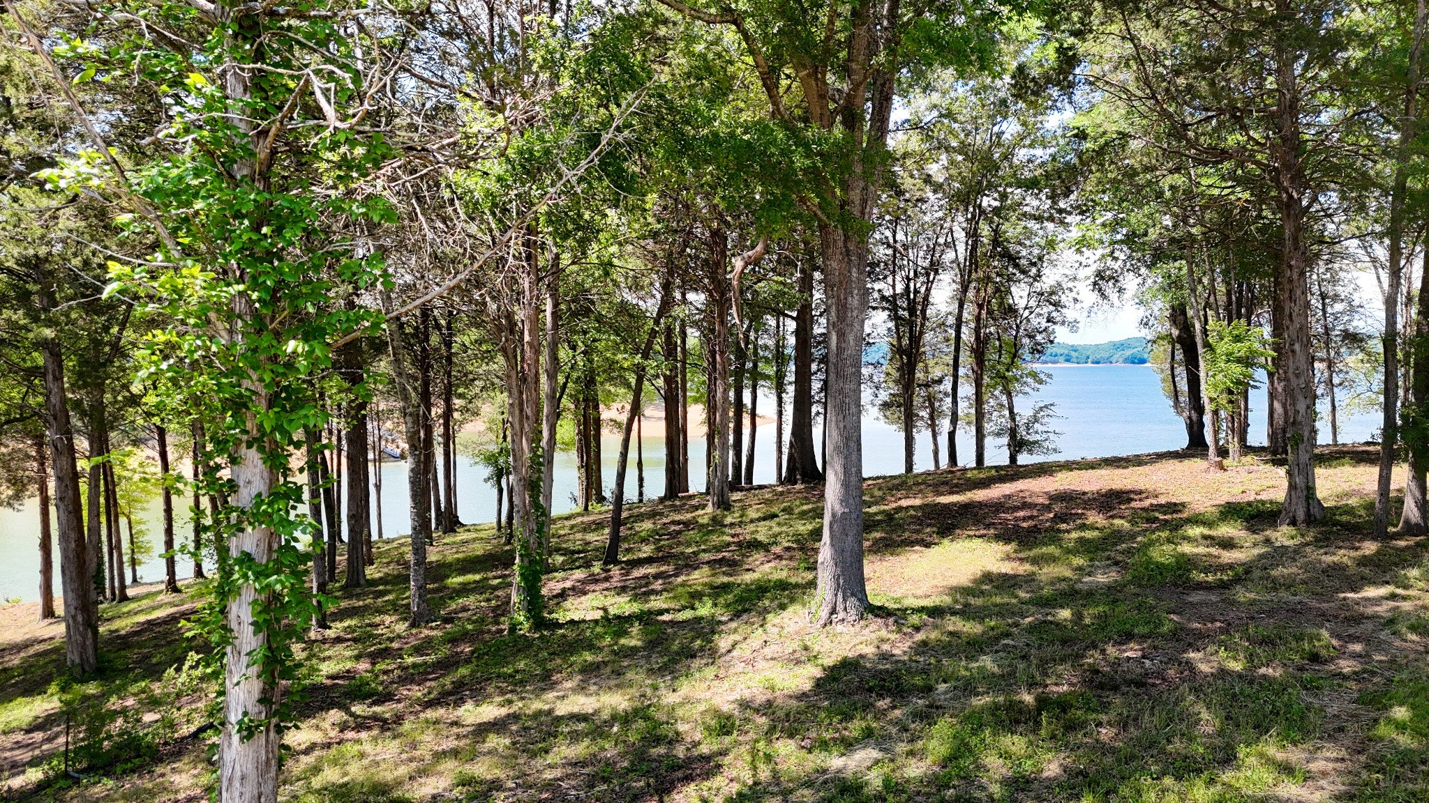 123 Ridge Point Trl