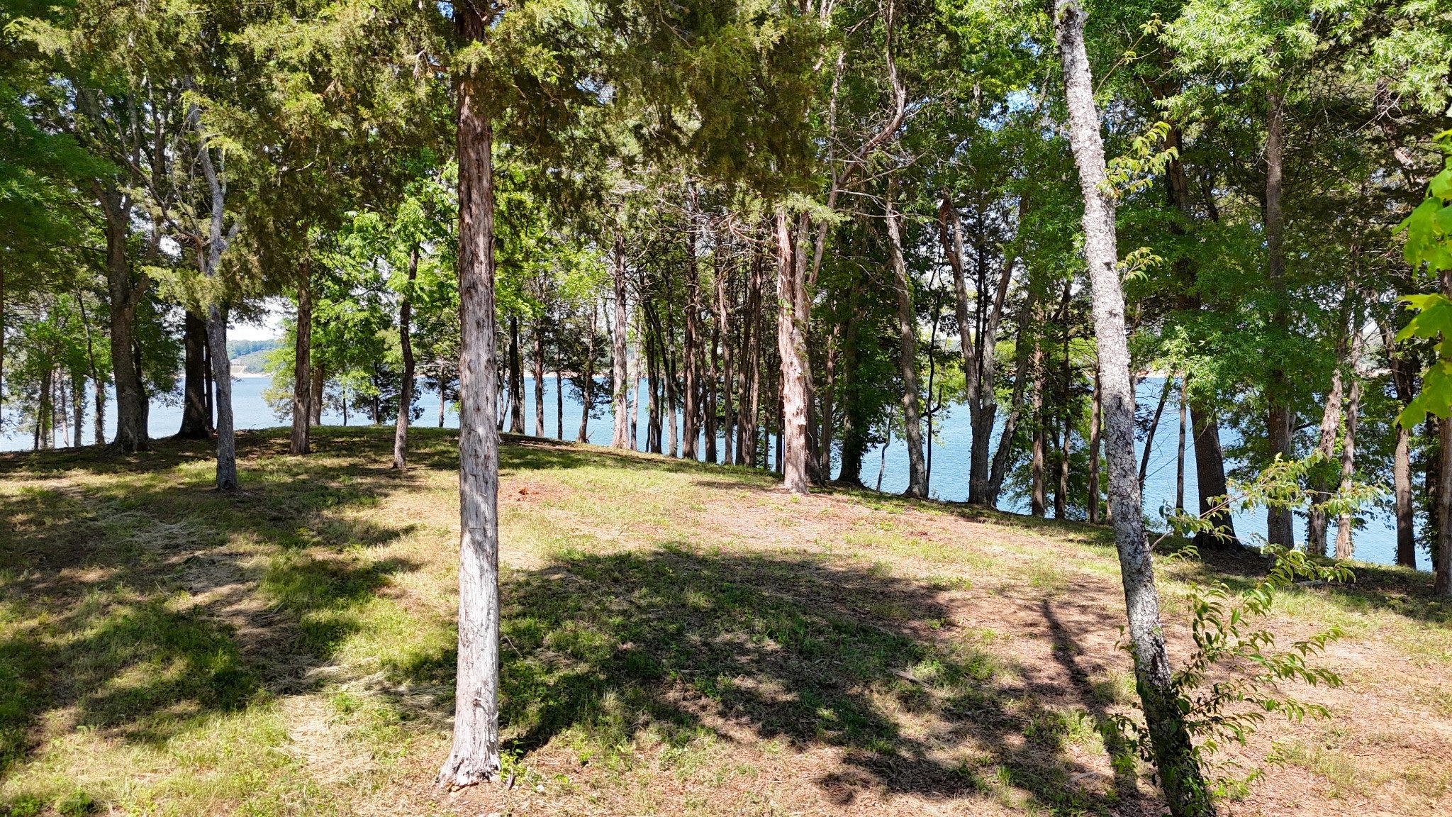 123 Ridge Point Trl