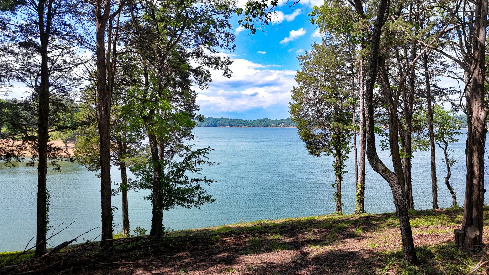 123 Ridge Point Trl