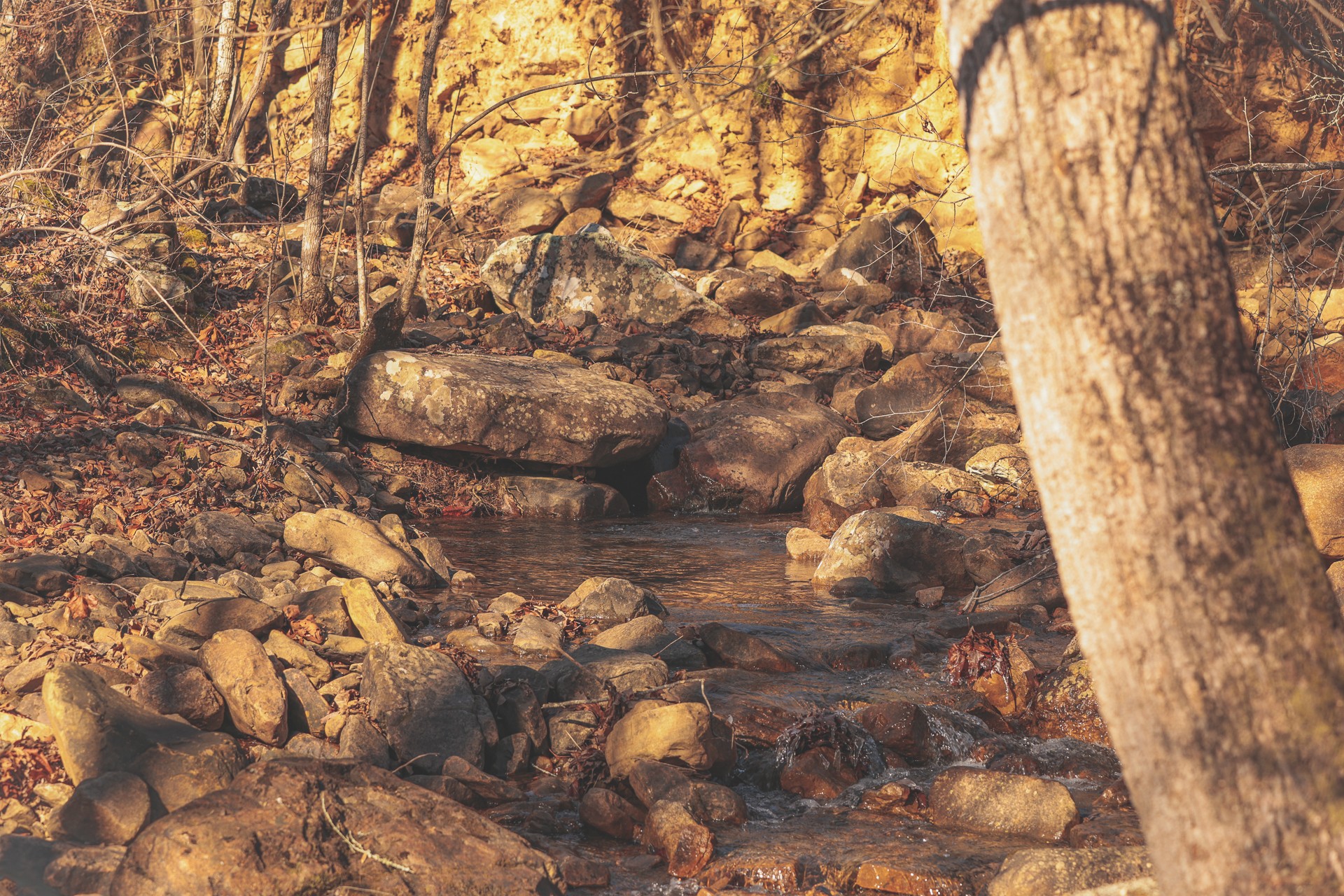 3211 Old State Highway 28