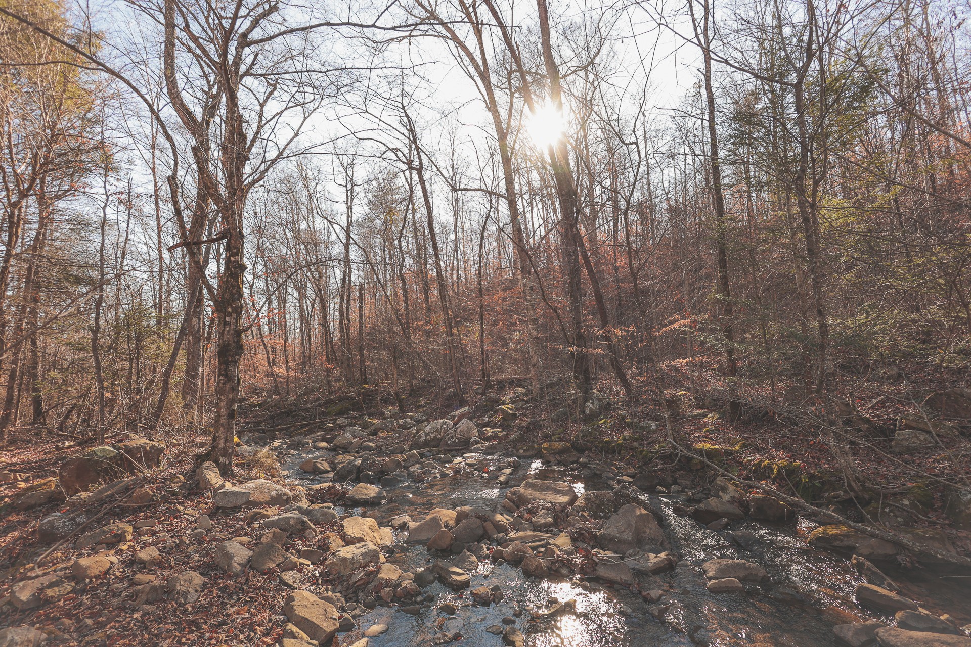 3211 Old State Highway 28