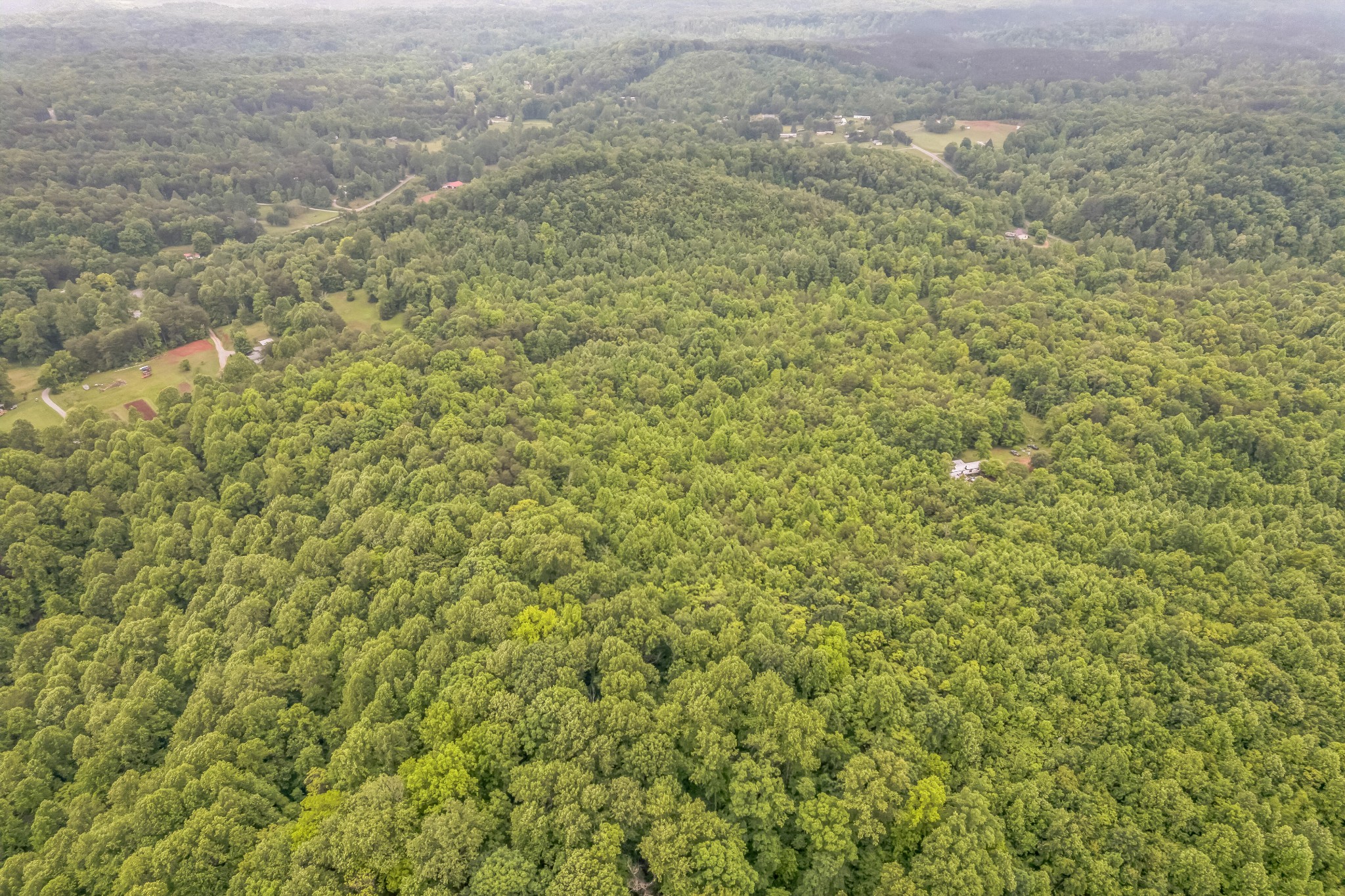 649 Little Notchey Creek RD