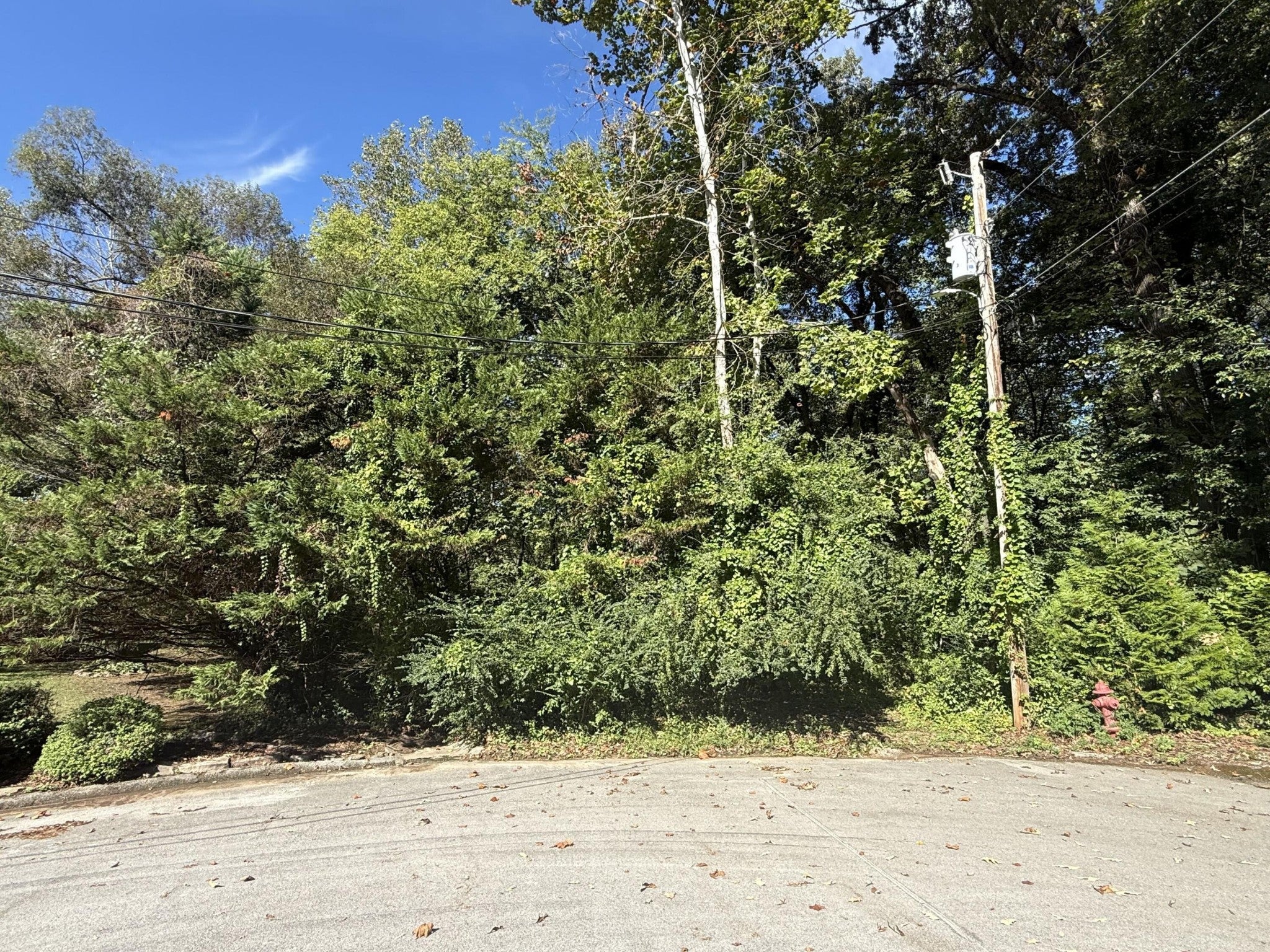 7603 Cliff Point Lane