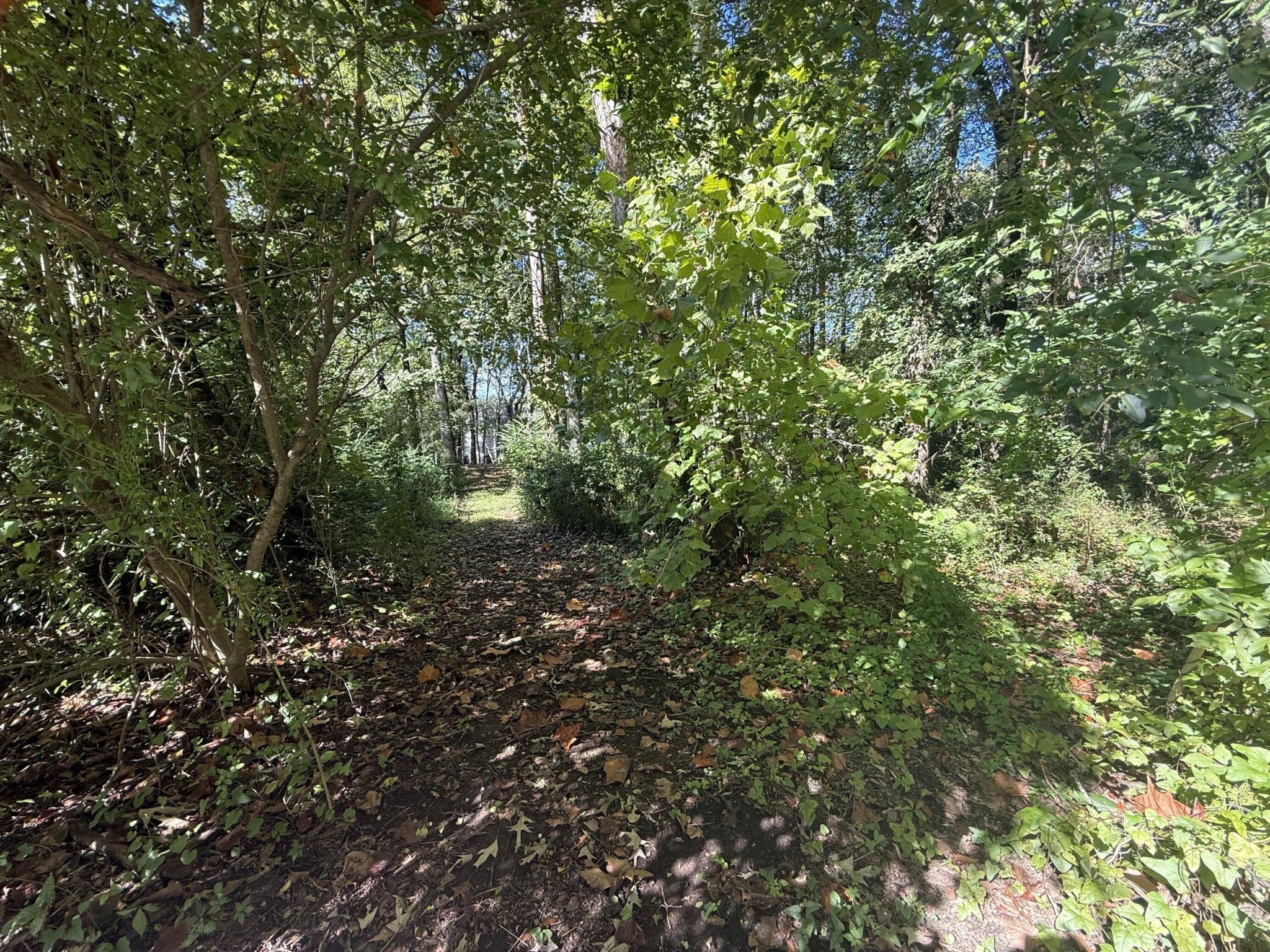 7603 Cliff Point Lane