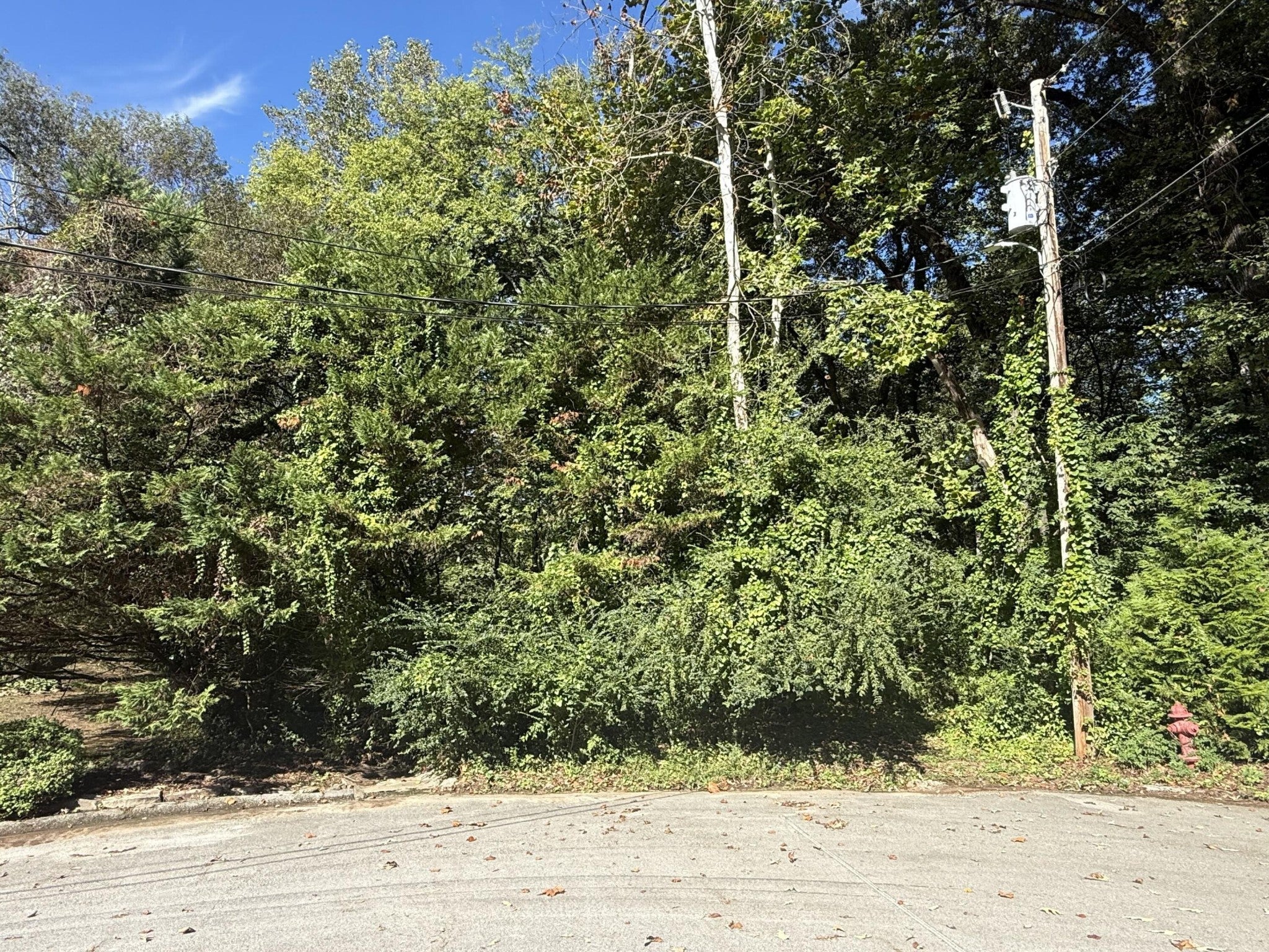 7603 Cliff Point Lane