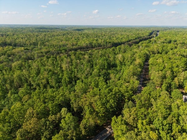 0-bed lot for sale in Fairview, TN 37062, 7240 Kingston Rd 7240 Kingston Rd, Fairview TN 37062 0-bed lot, photo 5 of 8