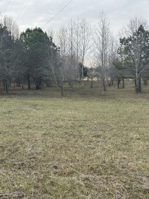 2823 Highway 43 S Leoma TN 38468