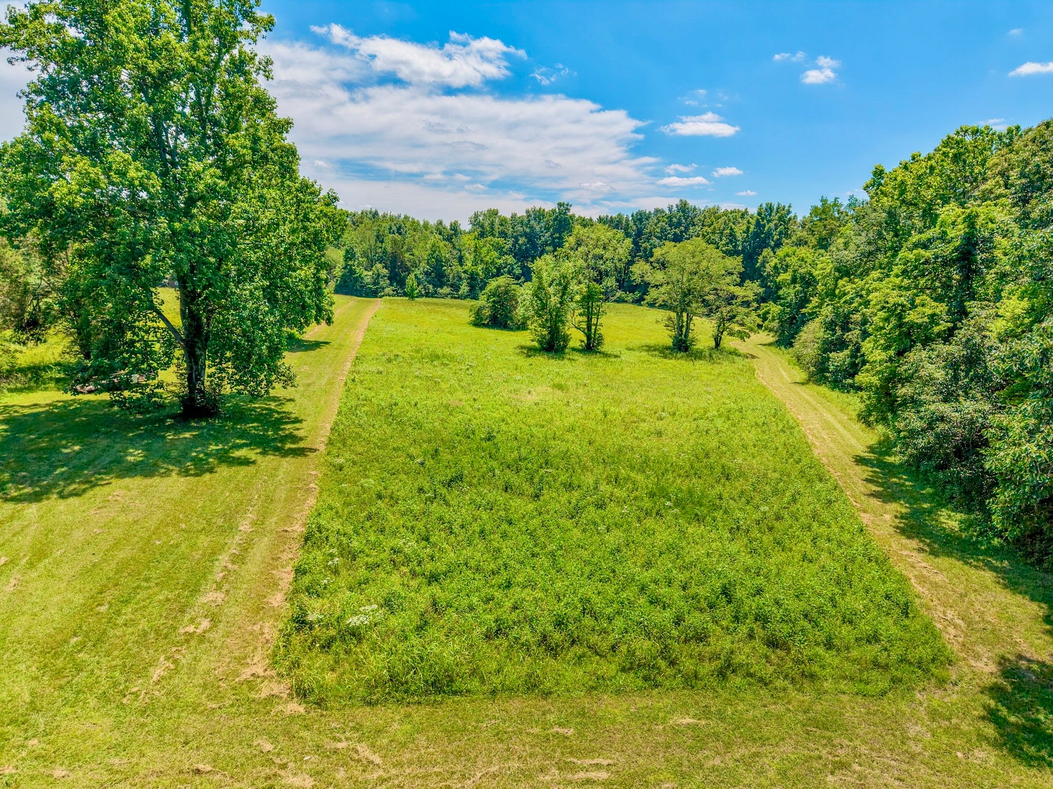 listing at 1251 Highway 96 N, Fairview