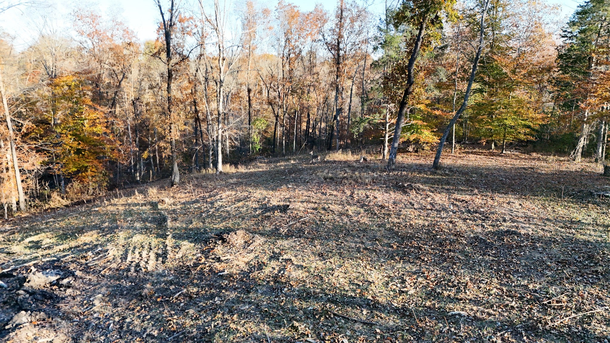 754 Chestnut Ridge Rd