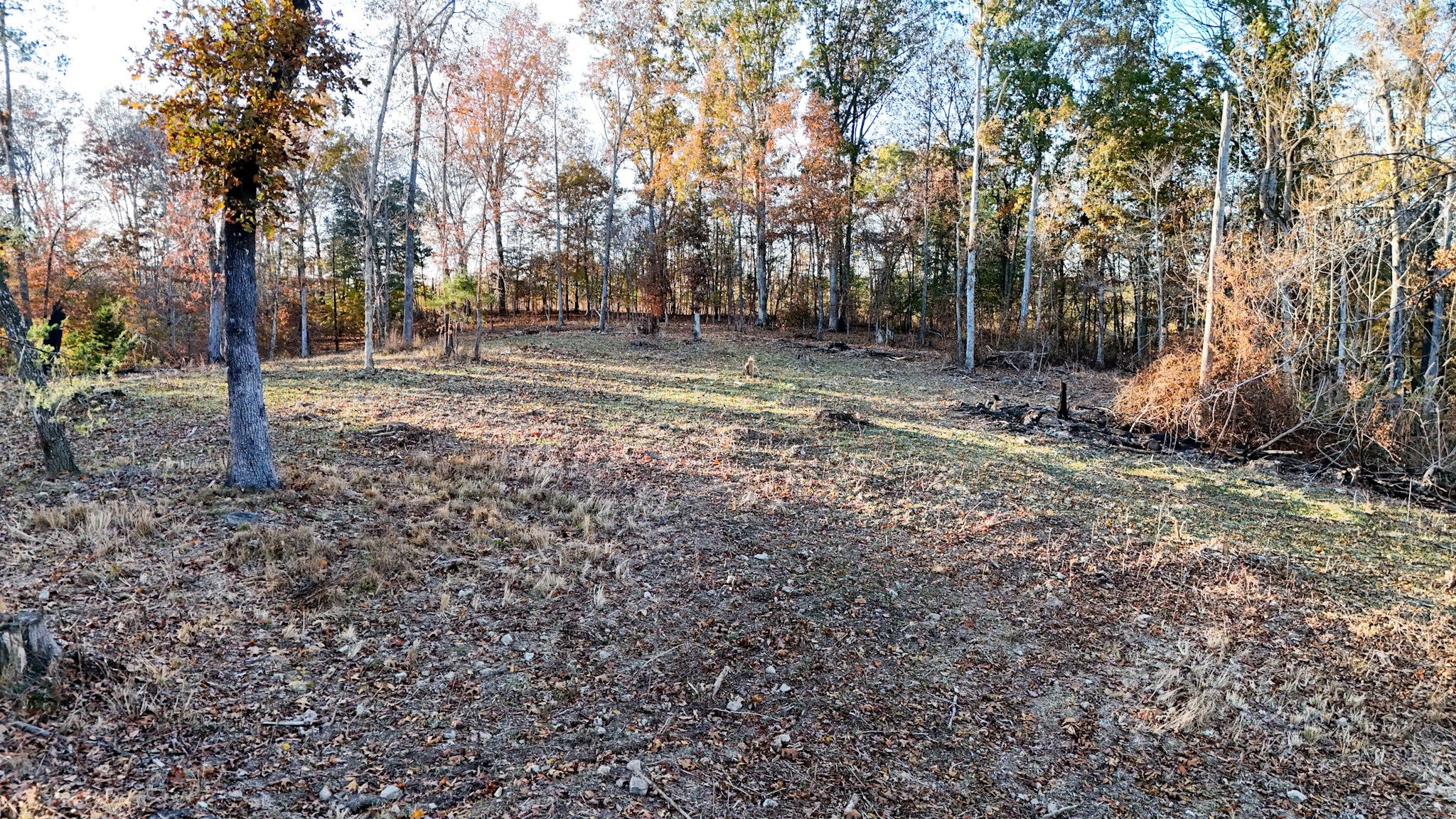 754 Chestnut Ridge Rd