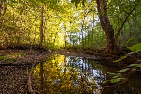 0 Sugar Ridge Rd Spring Hill TN 37174