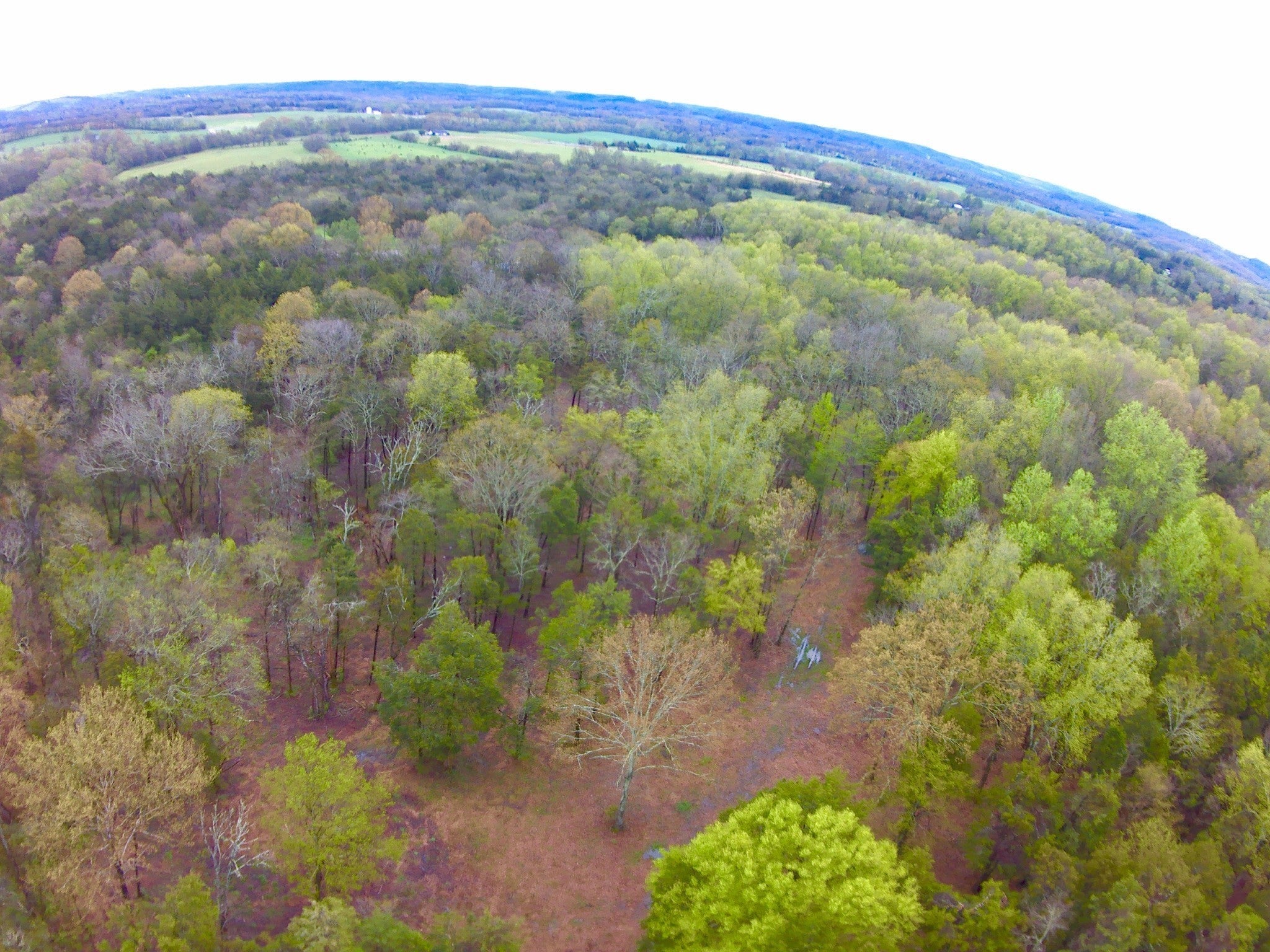 0 Hwy 64 Arnold Rd E