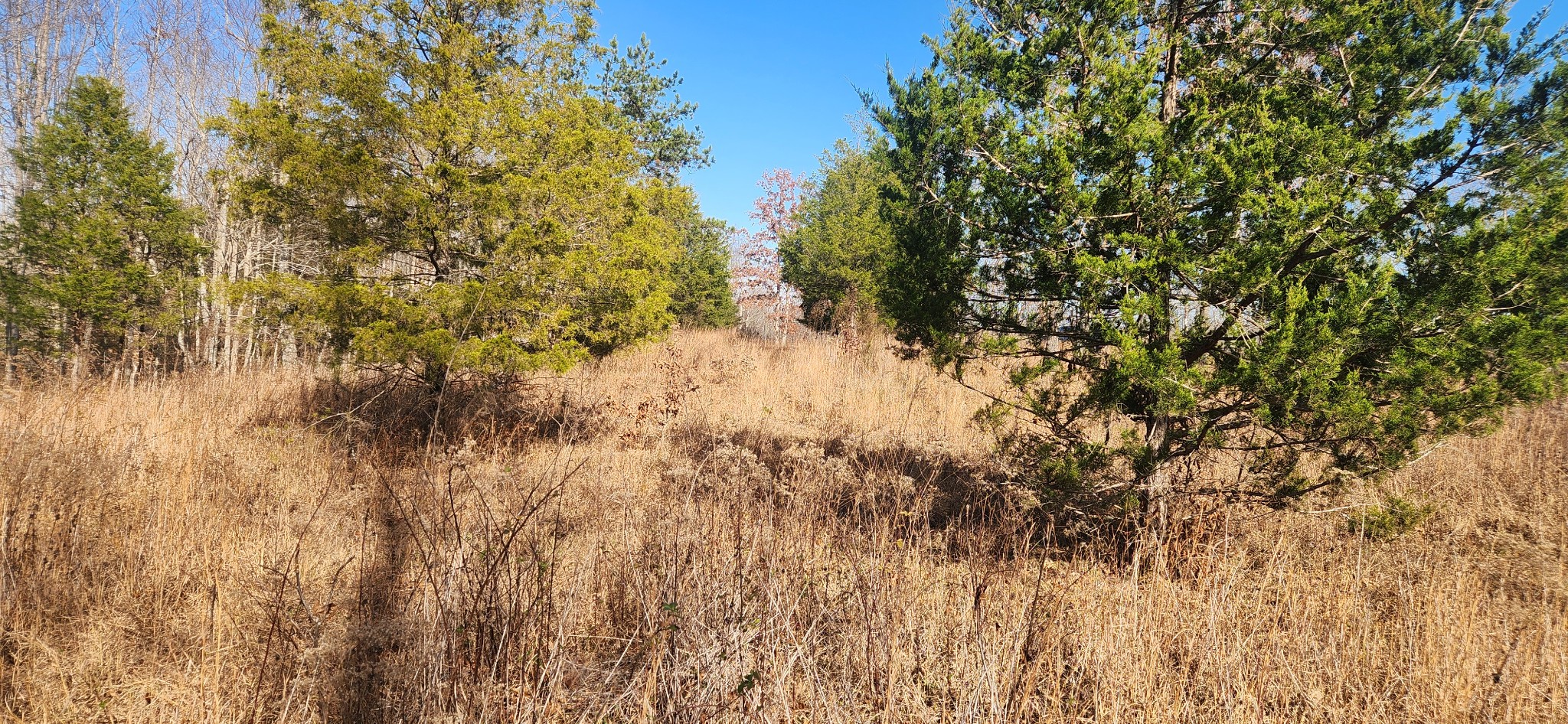 0 Nine Mile Ridge Rd