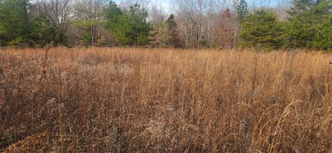 0 Nine Mile Ridge Rd Duck River TN 38454