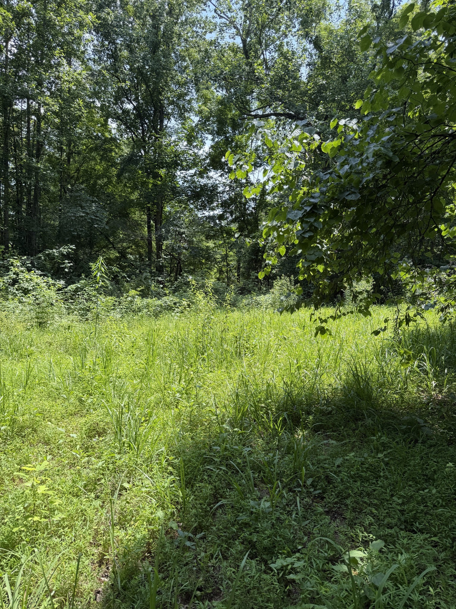 0 Wilderness Lane