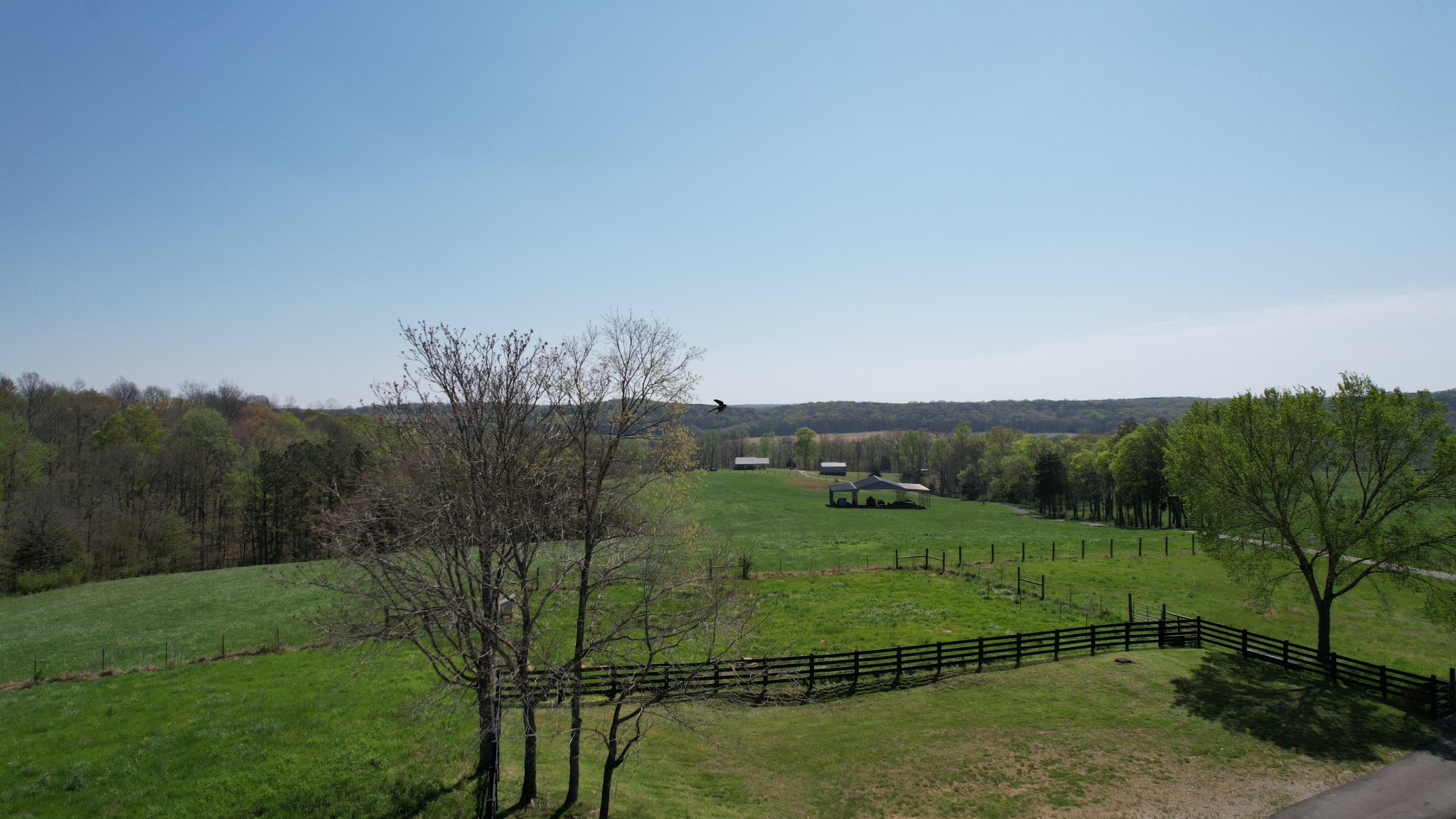 2723 Piney Rd