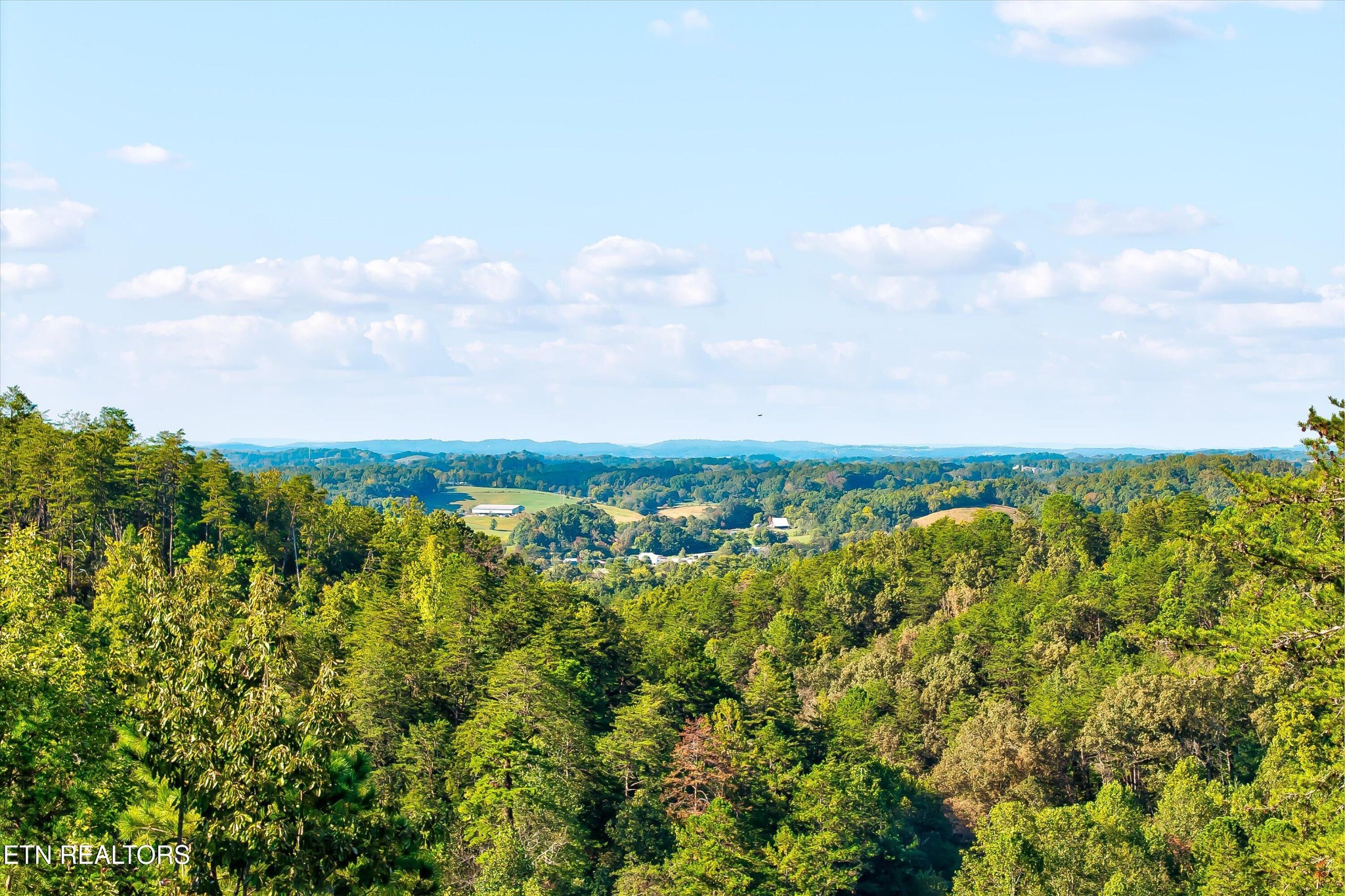 2462 Dogwood Loop Drive