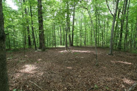 5671 Pinewood Rd Franklin TN 37064