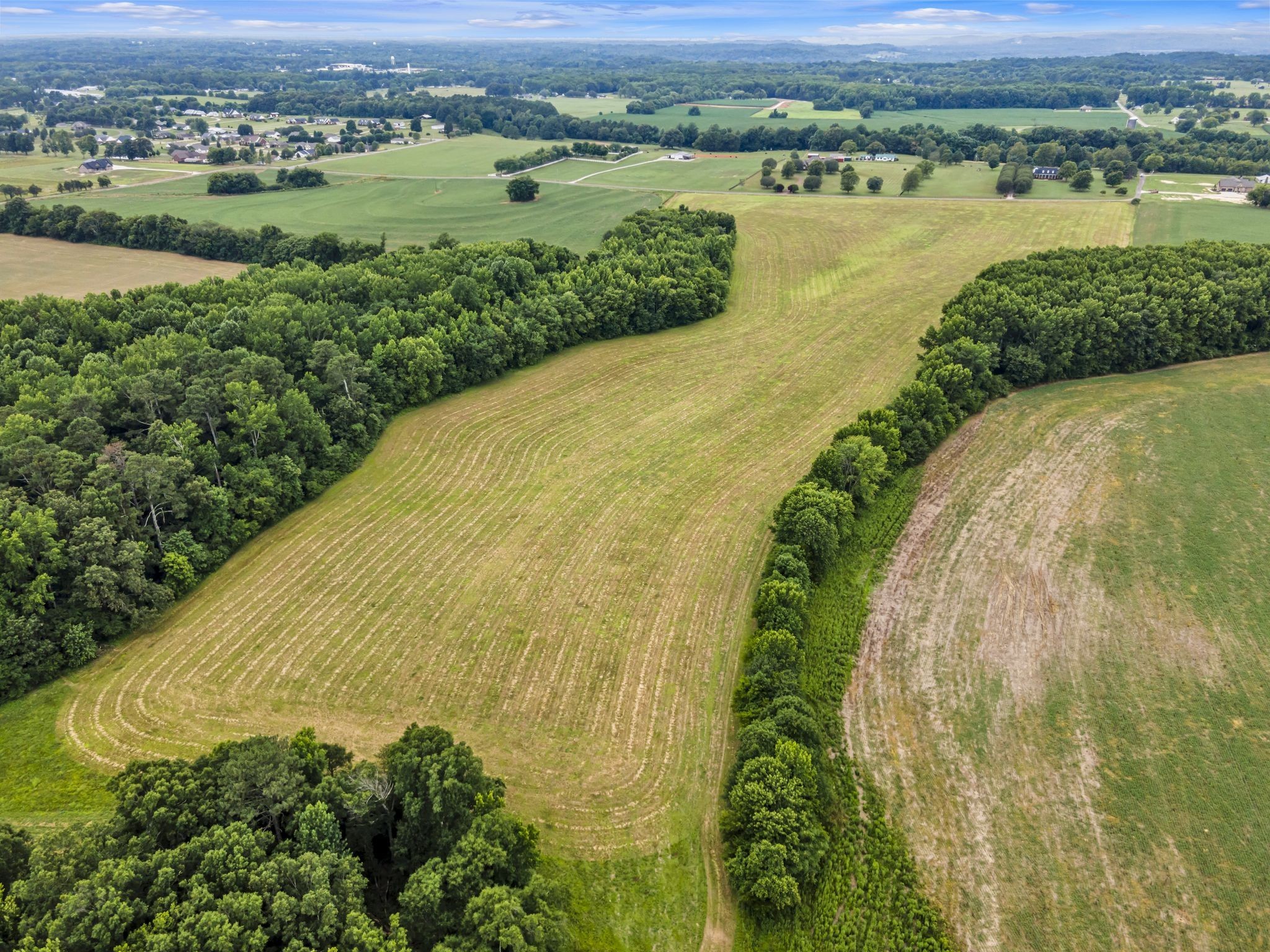View Ardmore, TN 38449 land