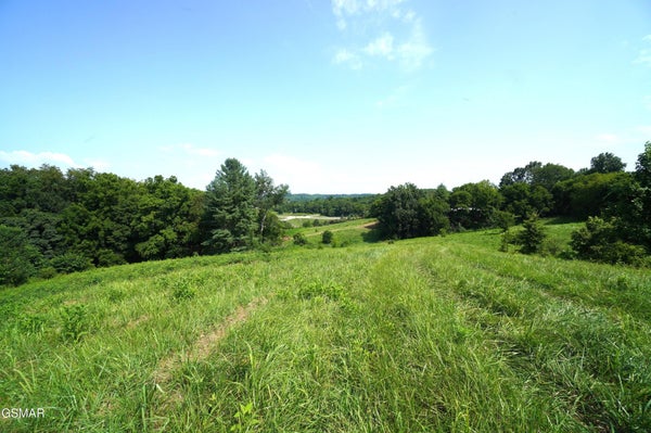 OLD GREENEVILLE HWY, PARROTTSVILLE, TN 37843 - Image 1f083e2eaa7e5f6bcea1a4bb025660e9/3184576068