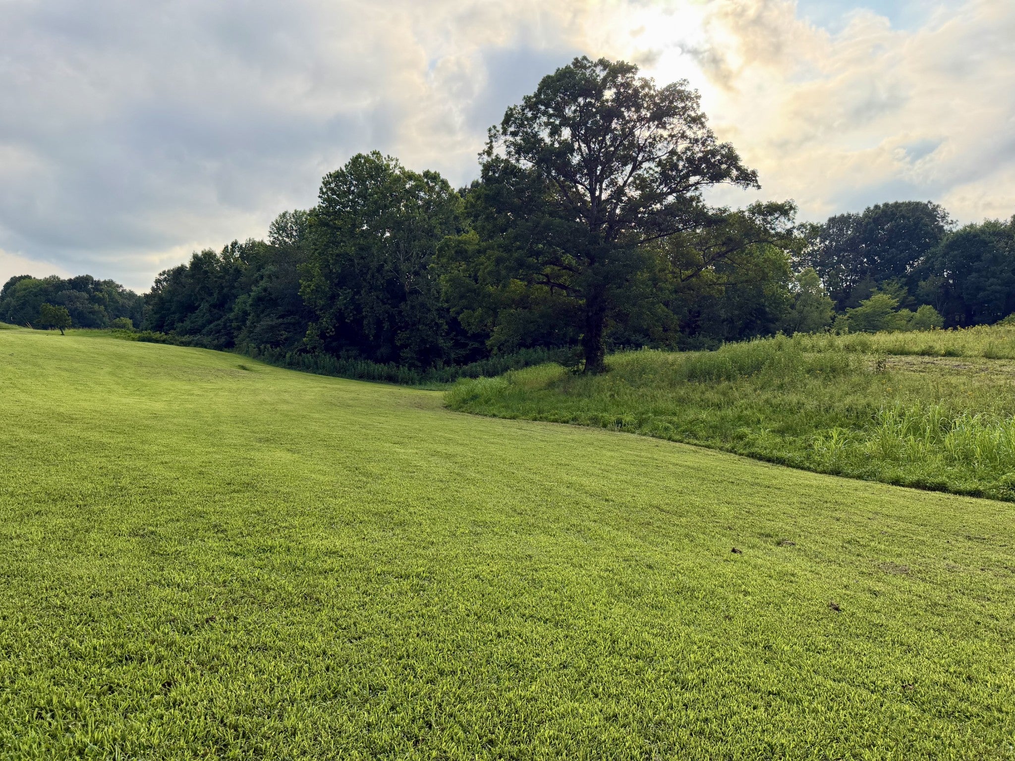 669 Houston Fielder Rd