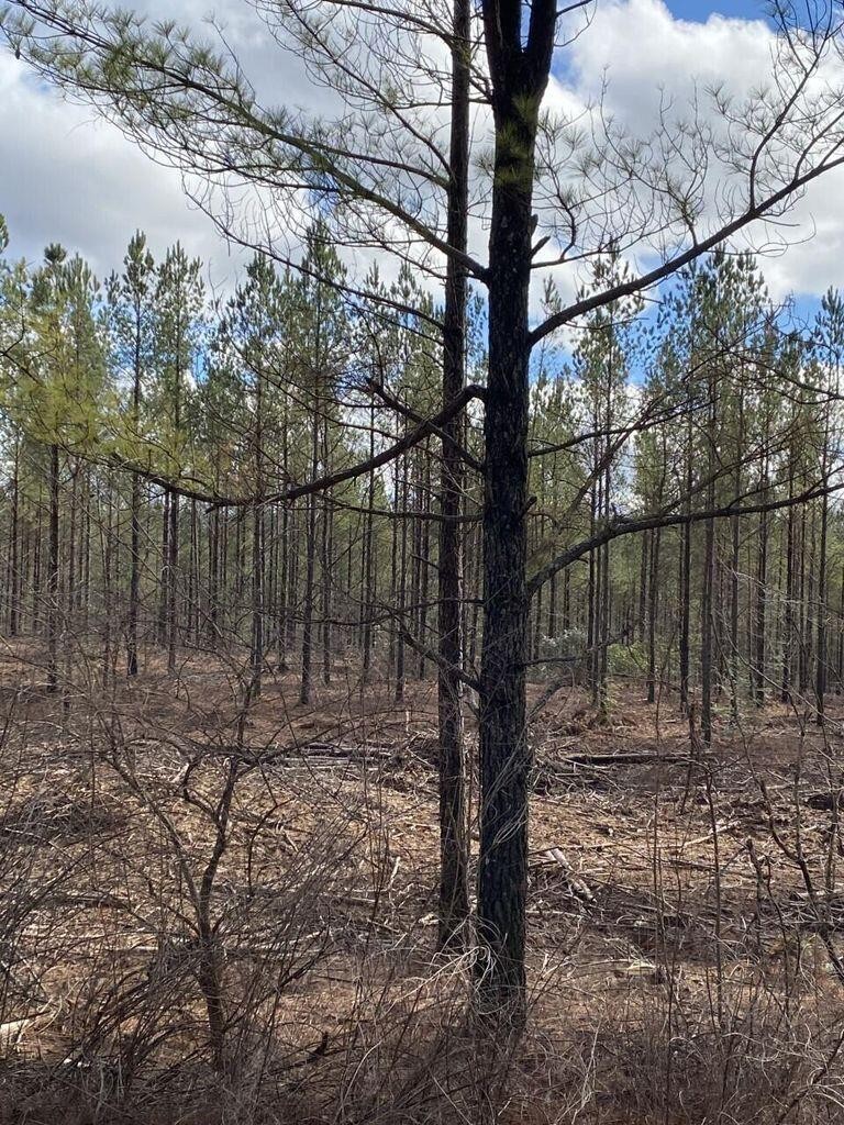 5 Thomas Springs Road