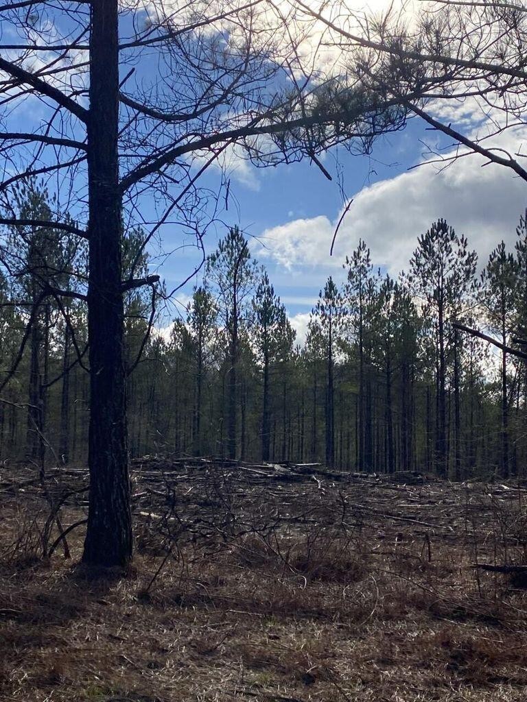 5 Thomas Springs Road