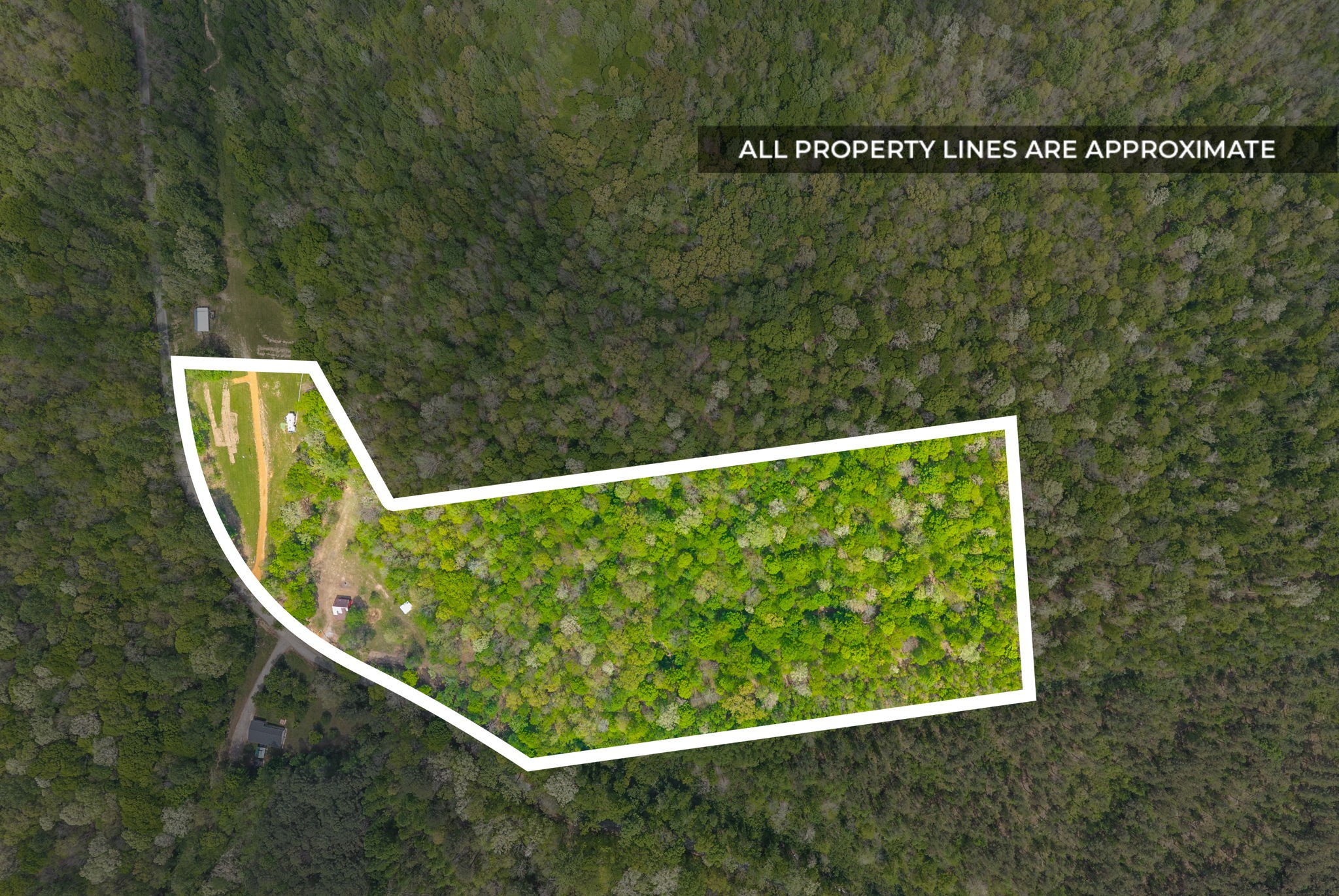 1377 Hurricane Creek Rd