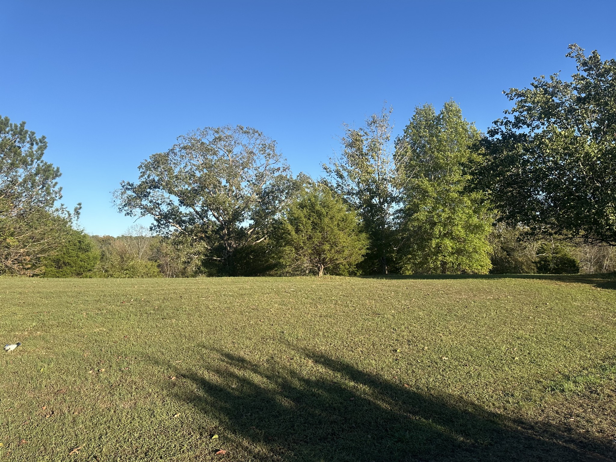 1551 Old Highway 79