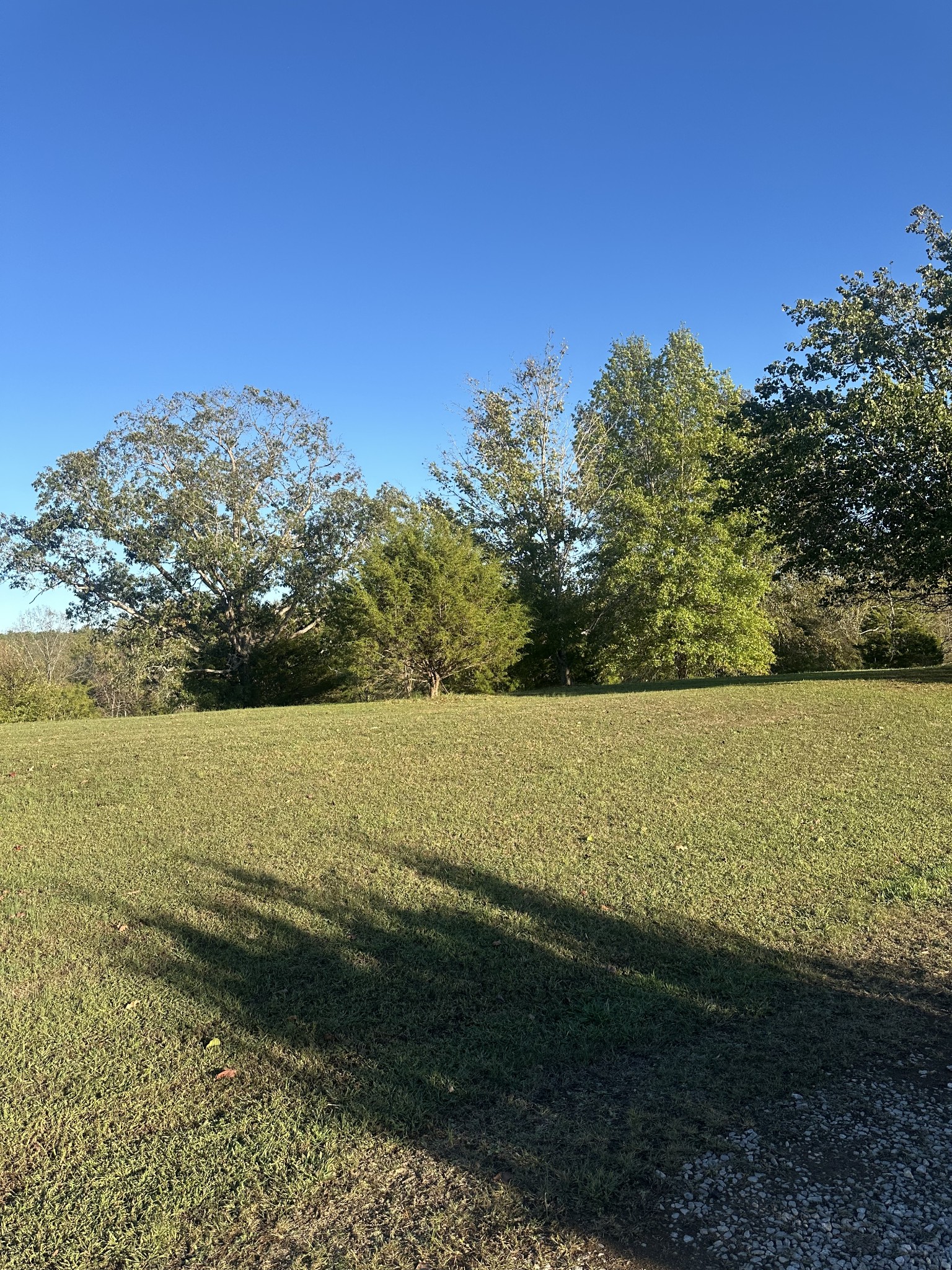 1551 Old Highway 79