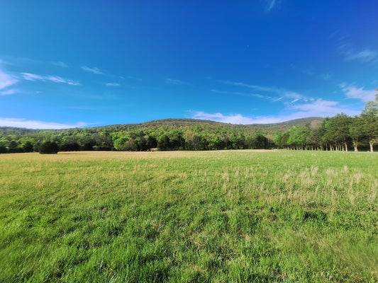 0 HAWKINS COVE RD, COWAN, TN 37318 - Image 1f8ef6bdf8c5ae03e72379996e572b7e/70332000