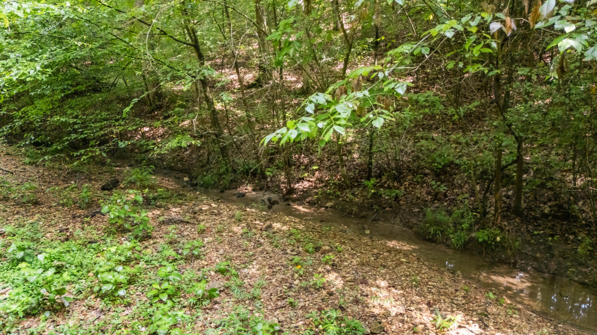 1922 Highway 49 E