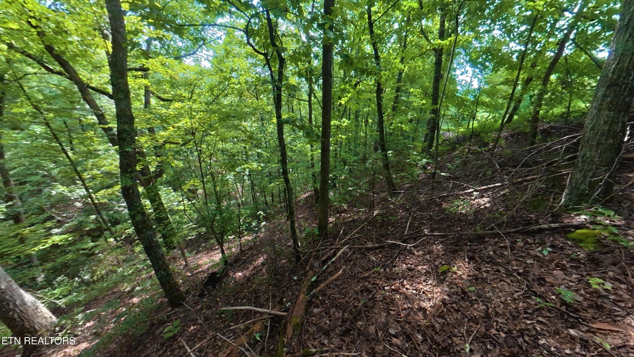 26 Shady Oaks Way