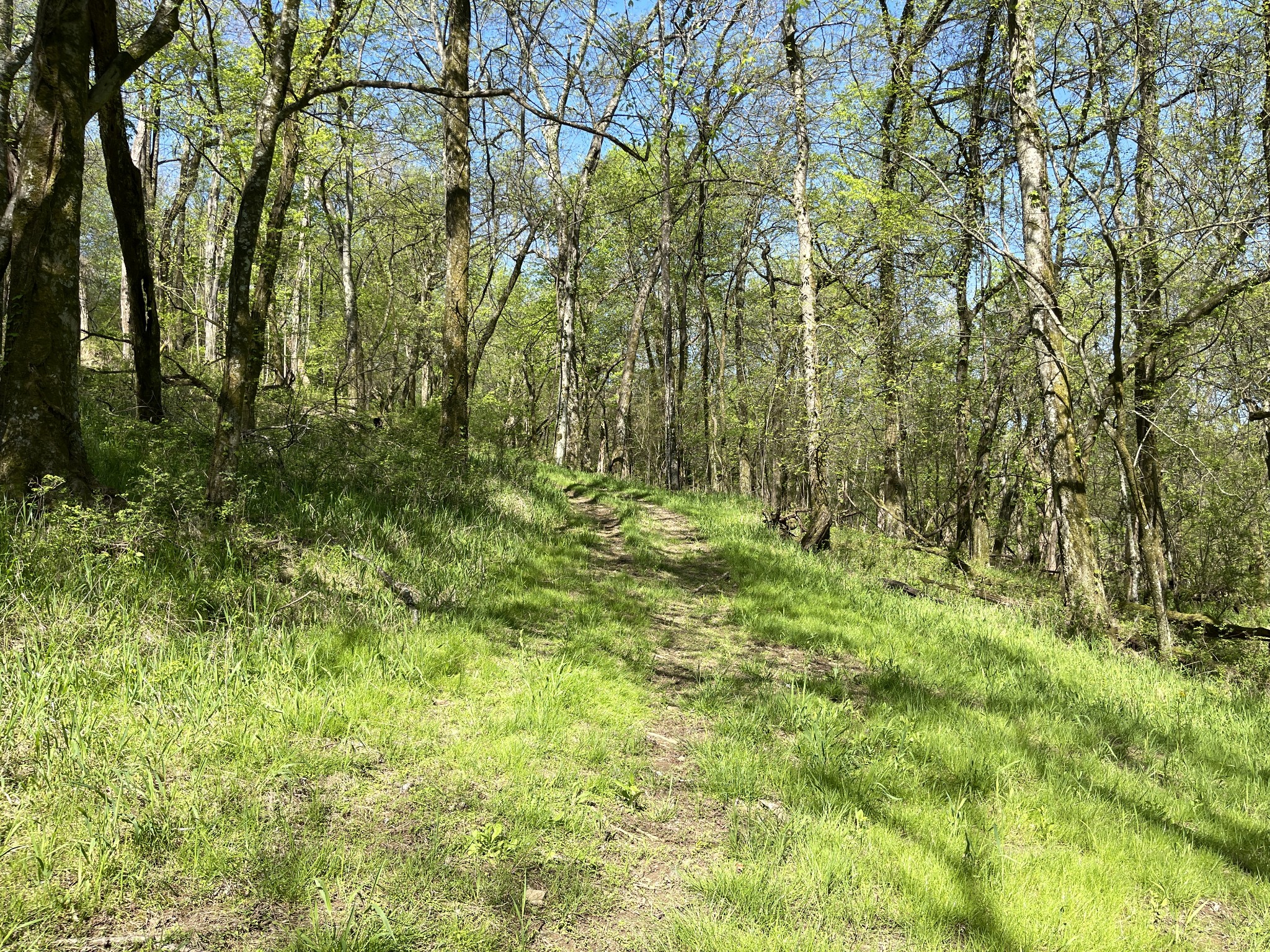 Photo 10 of 11 of 0 Columbia Highway land
